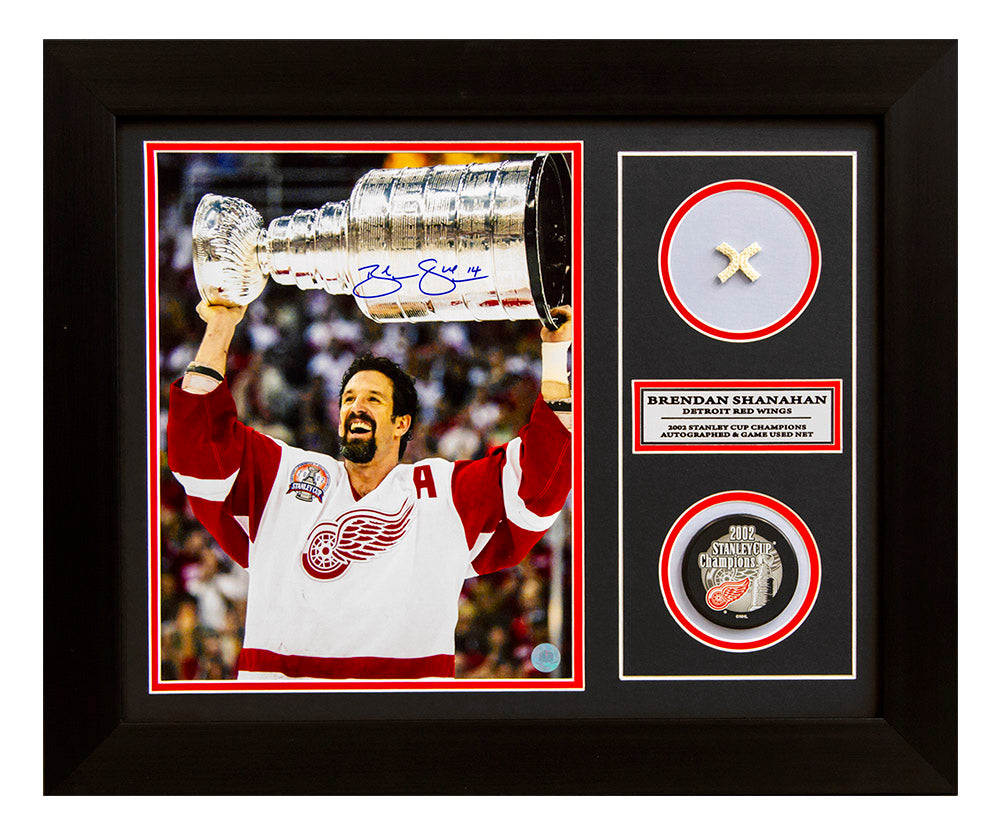 Brendan Shanahan Red Wings 2002 Stanley Cup Signed & Game Used Net 20x24 Frame