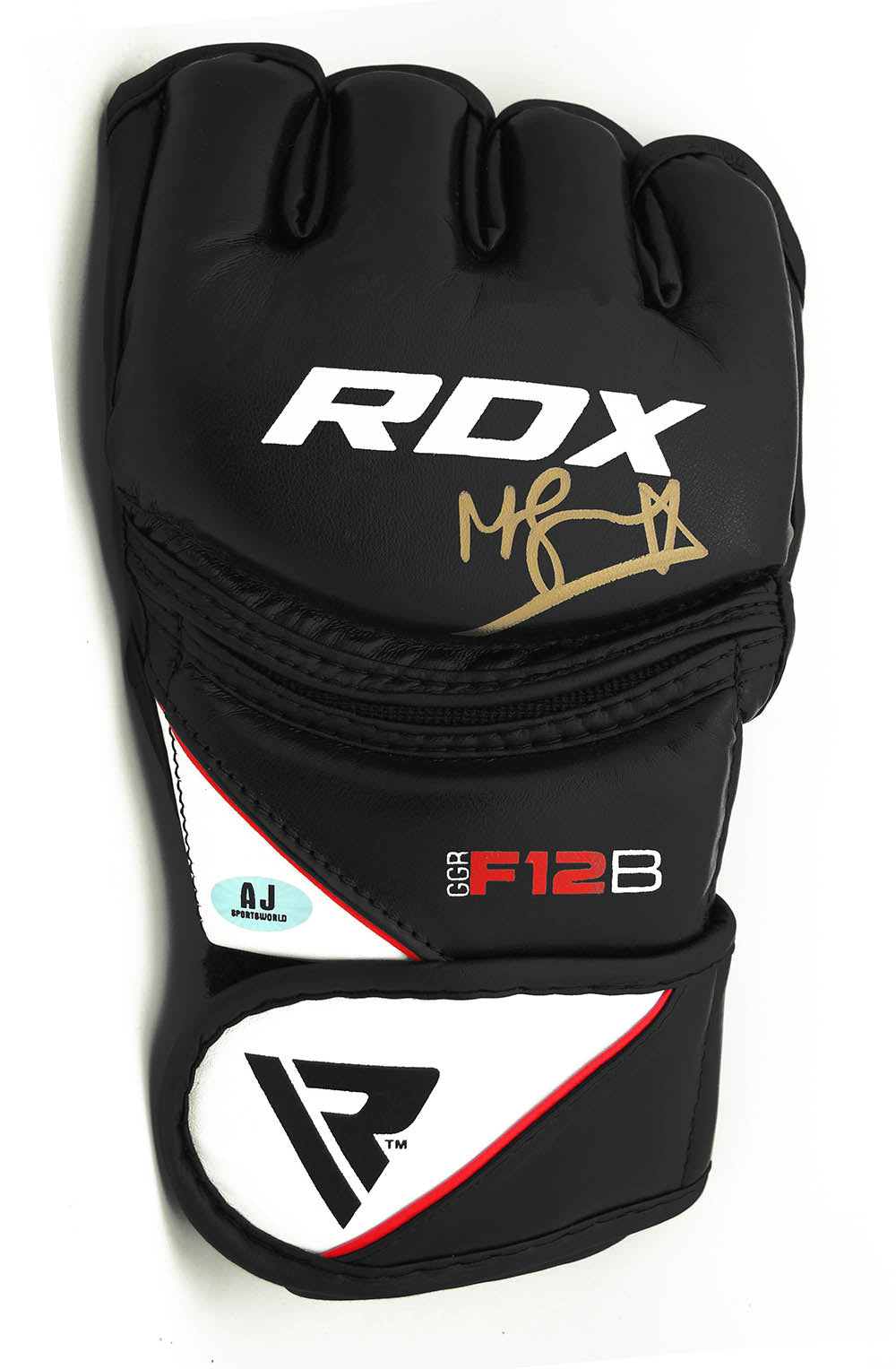 Michael Bisping UFC Autographed RDX Training Model MMA Glove