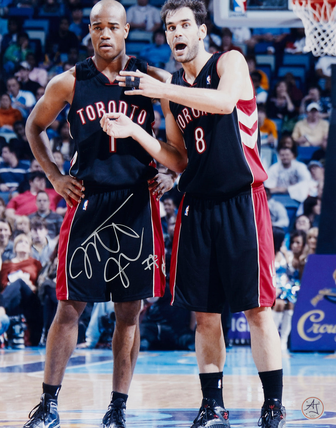 Jarrett Jack Signed Toronto Raptors Basketball 11x14 Photo