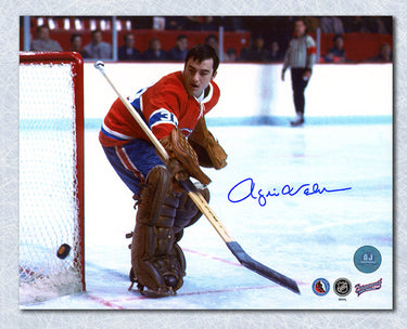 Rogie Vachon Montreal Canadiens Autographed Goalie 8x10 Photo